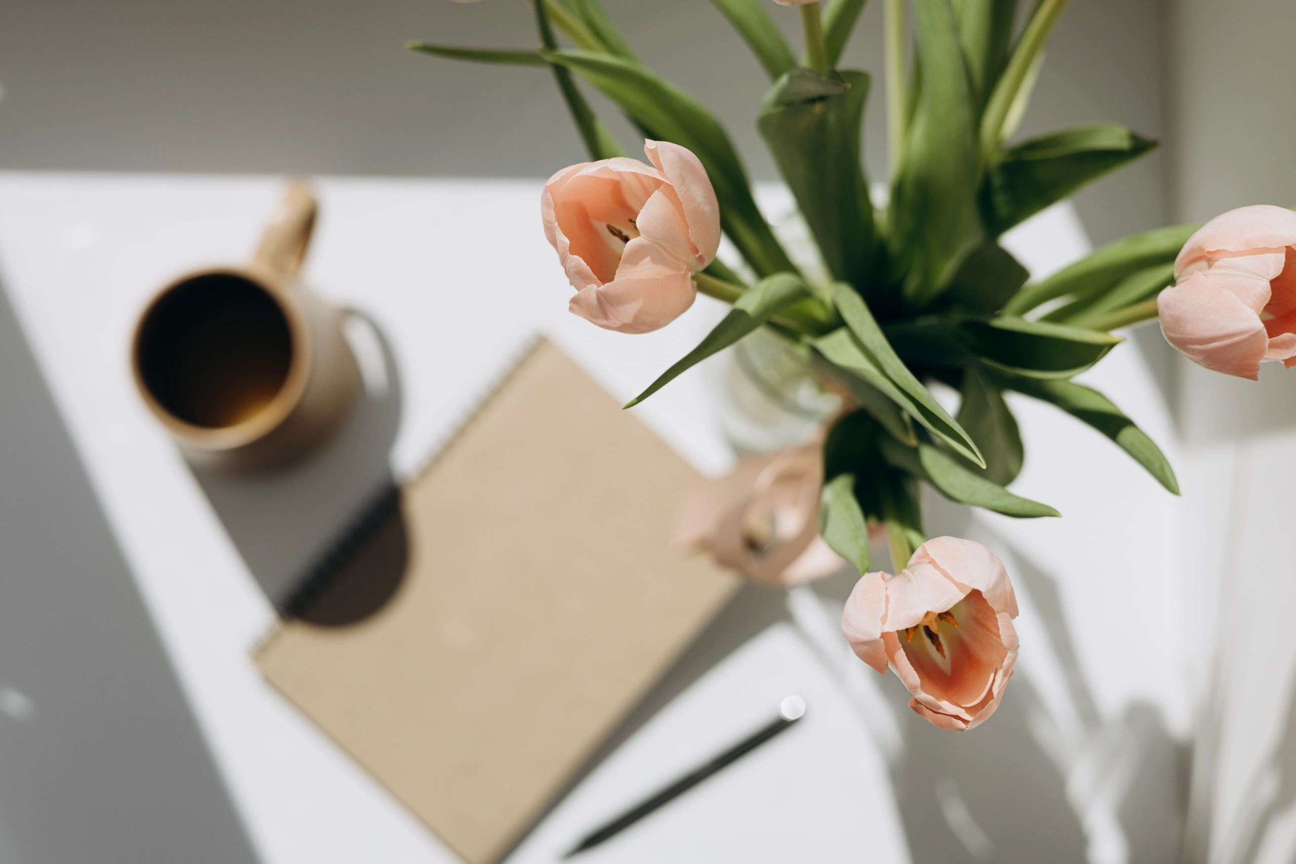 Notebook and coffee on a sunny morning with flowers