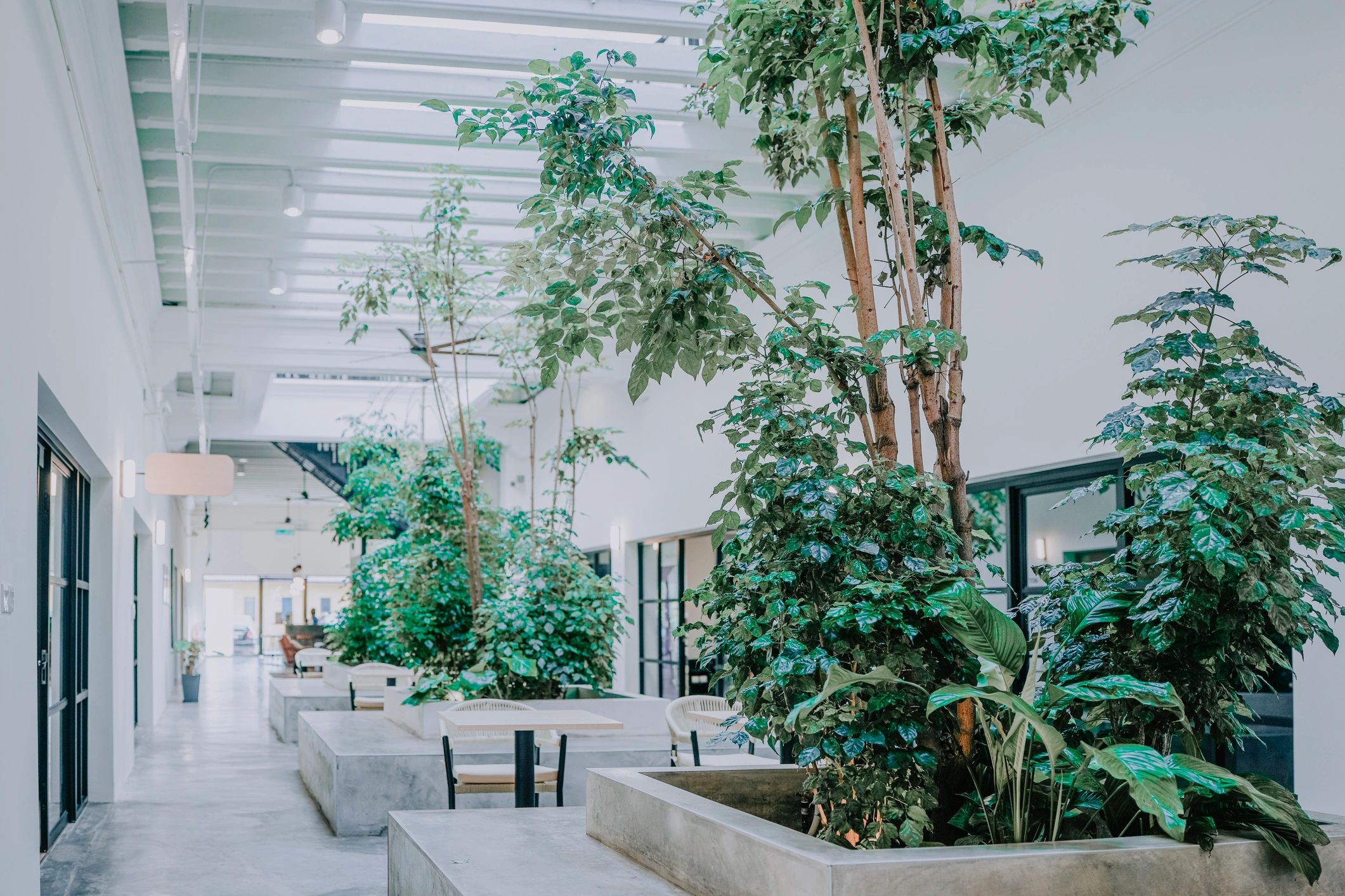 Indoor courtyard workspace with greenery and seating